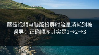 蘑菇视频电脑版投屏时流量消耗别被误导：正确顺序其实是1→2→3