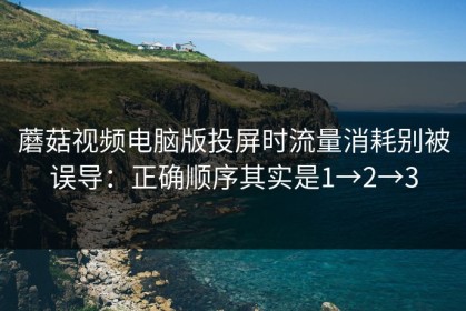 蘑菇视频电脑版投屏时流量消耗别被误导：正确顺序其实是1→2→3