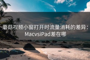 蘑菇视频小窗打开时流量消耗的差异：MacvsiPad差在哪