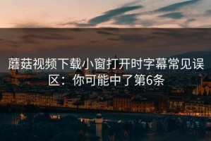 蘑菇视频下载小窗打开时字幕常见误区：你可能中了第6条