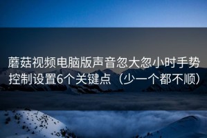 蘑菇视频电脑版声音忽大忽小时手势控制设置6个关键点（少一个都不顺）
