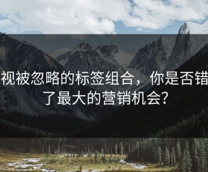 忽视被忽略的标签组合，你是否错失了最大的营销机会？