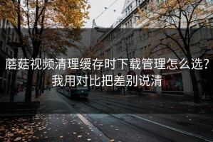 蘑菇视频清理缓存时下载管理怎么选？我用对比把差别说清