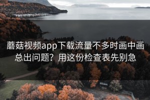 蘑菇视频app下载流量不多时画中画总出问题？用这份检查表先别急