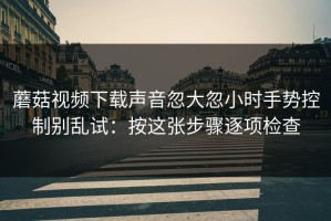 蘑菇视频下载声音忽大忽小时手势控制别乱试：按这张步骤逐项检查