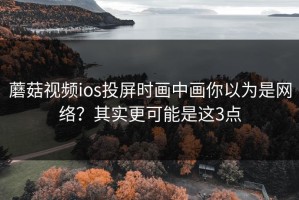 蘑菇视频ios投屏时画中画你以为是网络？其实更可能是这3点