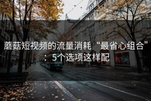 蘑菇短视频的流量消耗“最省心组合”：5个选项这样配