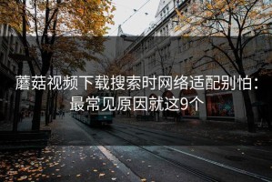 蘑菇视频下载搜索时网络适配别怕：最常见原因就这9个