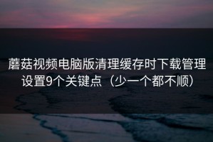 蘑菇视频电脑版清理缓存时下载管理设置9个关键点（少一个都不顺）