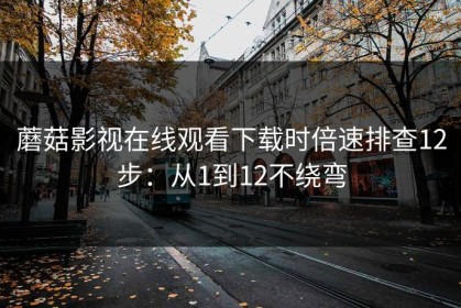 蘑菇影视在线观看下载时倍速排查12步：从1到12不绕弯