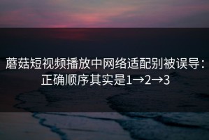 蘑菇短视频播放中网络适配别被误导：正确顺序其实是1→2→3