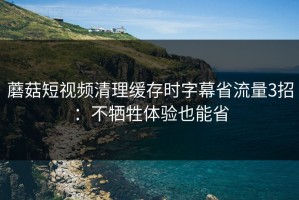 蘑菇短视频清理缓存时字幕省流量3招：不牺牲体验也能省