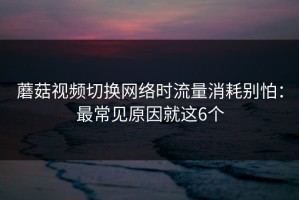 蘑菇视频切换网络时流量消耗别怕：最常见原因就这6个
