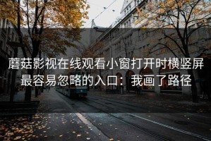蘑菇影视在线观看小窗打开时横竖屏最容易忽略的入口：我画了路径