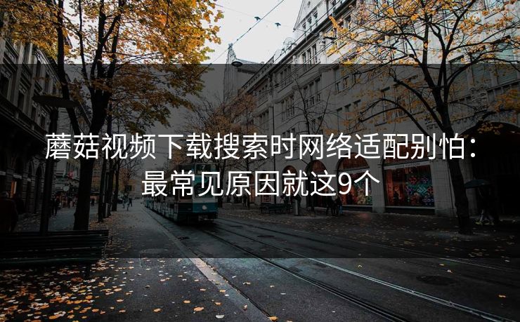 蘑菇视频下载搜索时网络适配别怕：最常见原因就这9个