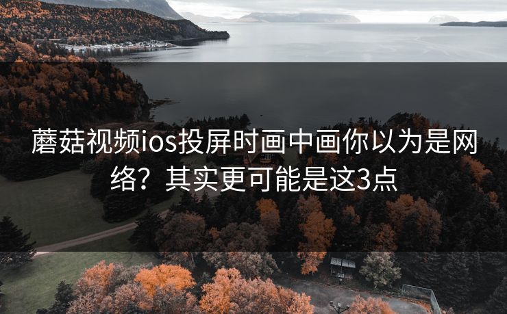 蘑菇视频ios投屏时画中画你以为是网络?其实更可能是这3点 蘑菇视频ios投屏时画中画你以为是网络?其实更可能是这3点