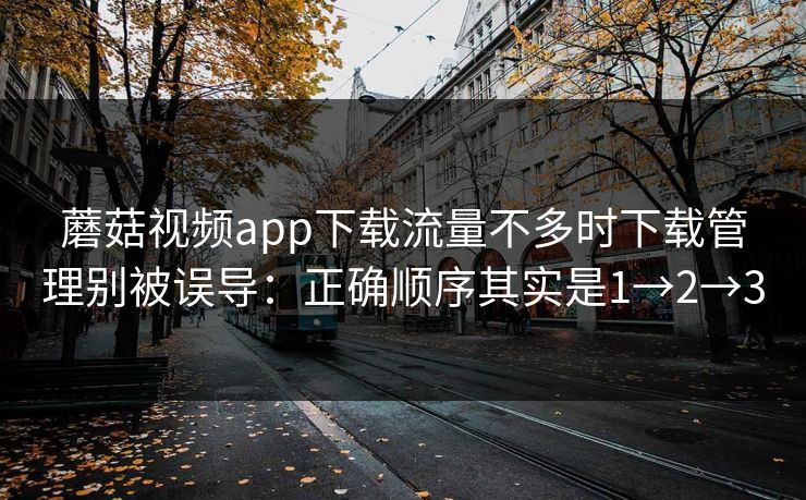 蘑菇视频app下载流量不多时下载管理别被误导：正确顺序其实是1→2→3