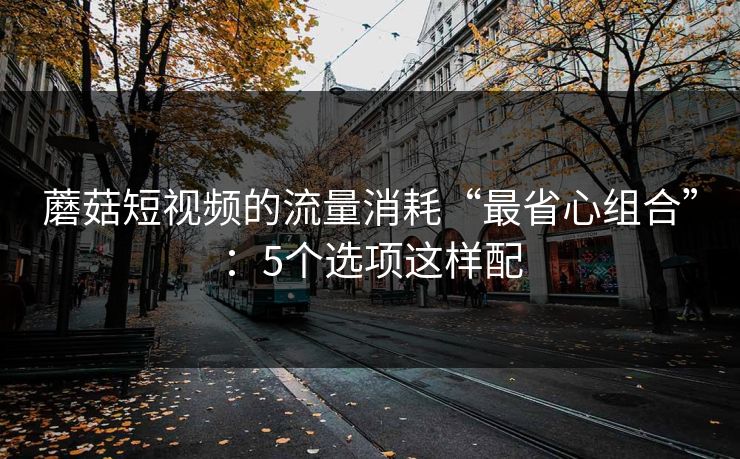 蘑菇短视频的流量消耗“最省心组合”：5个选项这样配