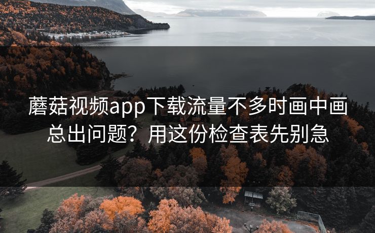 蘑菇视频app下载流量不多时画中画总出问题？用这份检查表先别急