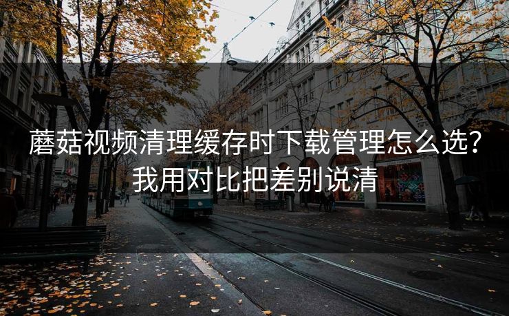 蘑菇视频清理缓存时下载管理怎么选？我用对比把差别说清