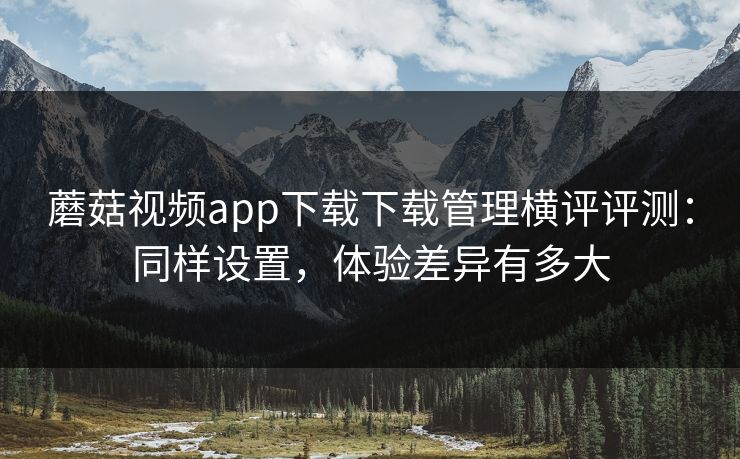 蘑菇视频app下载下载管理横评评测：同样设置，体验差异有多大