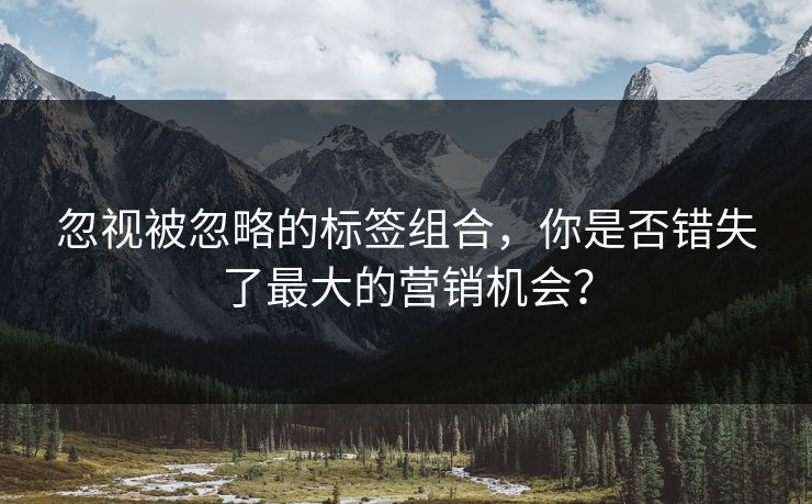 忽视被忽略的标签组合，你是否错失了最大的营销机会？